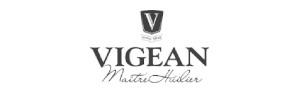 logo vigean