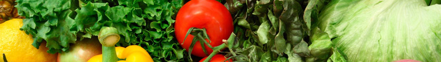 Image d'illustration produits bio Image d'illustration produits bio